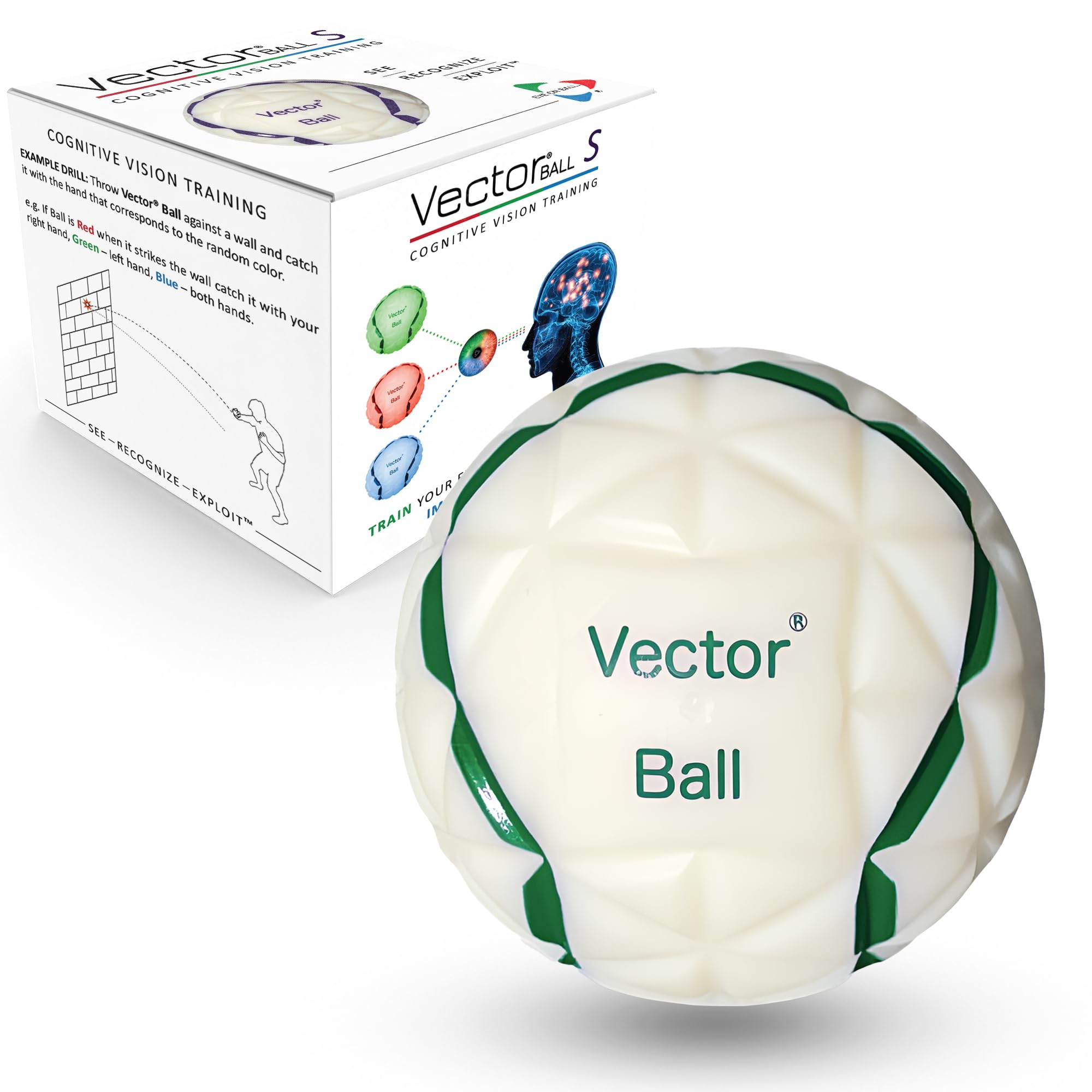 Amazon.com: Vector Ball S Neuro-Visual Reaction Ball for Improving